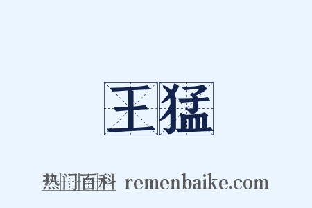 王猛是什么意思的图片